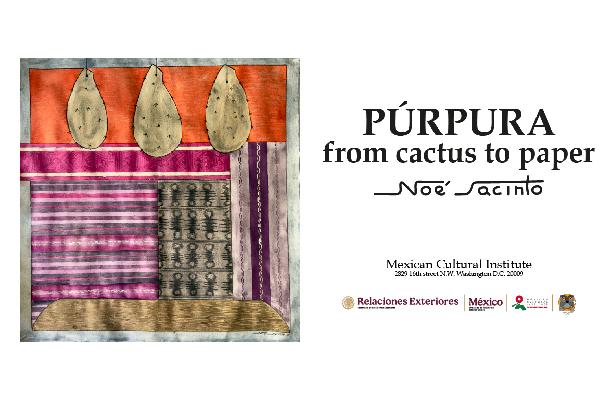 PÚRPURA: Del Nopal al Papel (From cactus to paper) | Noé Jacinto