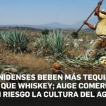 Estadunidenses beben más tequila y mezcal que whiskey; auge comercial pone en riesgo la cultura…